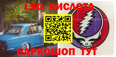 прущие грибы Мариинск
