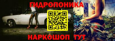 прущие грибы Мариинск