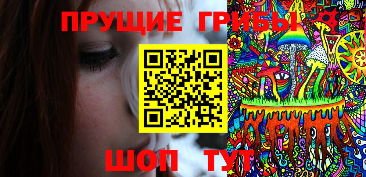 Зима  Галлюциногенные грибы Psilocybe  Псилоцибиновые грибы Cubensis  Вход с VPN 