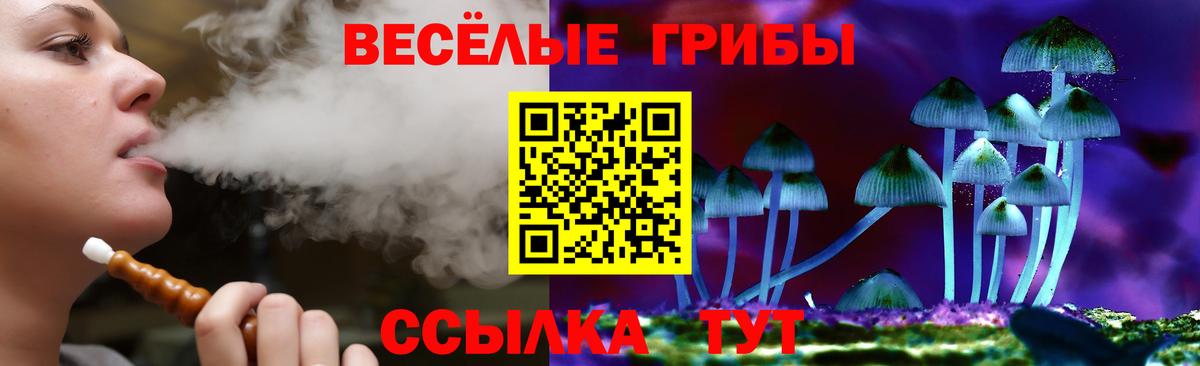 Псилоцибиновые грибы мухоморы Зима